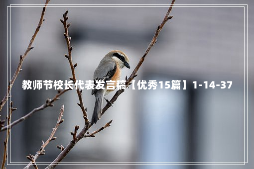 教师节校长代表发言稿【优秀15篇】1-14-37