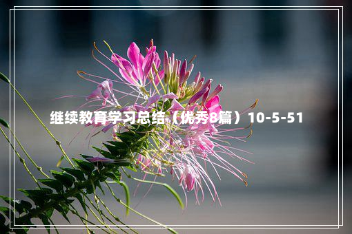 继续教育学习总结（优秀8篇）10-5-51