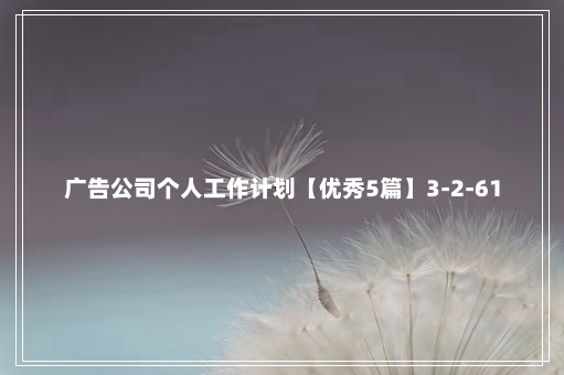 广告公司个人工作计划【优秀5篇】3-2-61