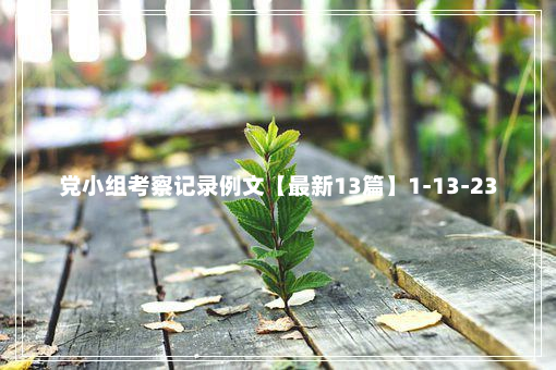 党小组考察记录例文【最新13篇】1-13-23