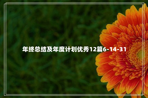 年终总结及年度计划优秀12篇6-14-31