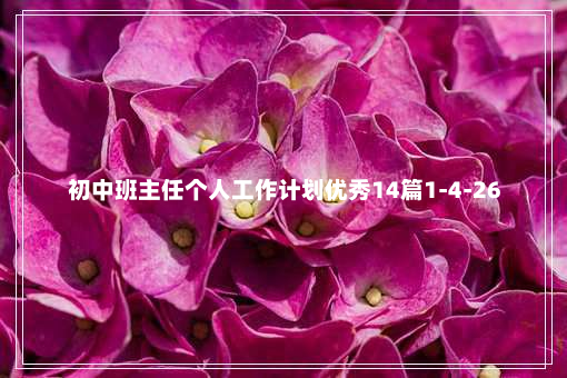 初中班主任个人工作计划优秀14篇1-4-26