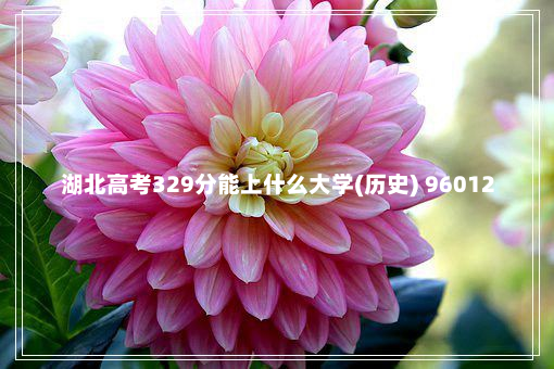 湖北高考329分能上什么大学(历史) 96012