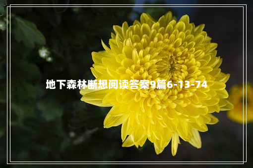 地下森林断想阅读答案9篇6-13-74