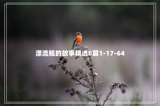 漂流瓶的故事精选8篇1-17-64