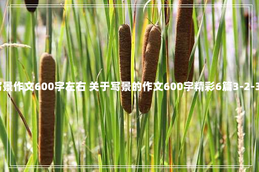 写景作文600字左右 关于写景的作文600字精彩6篇3-2-38