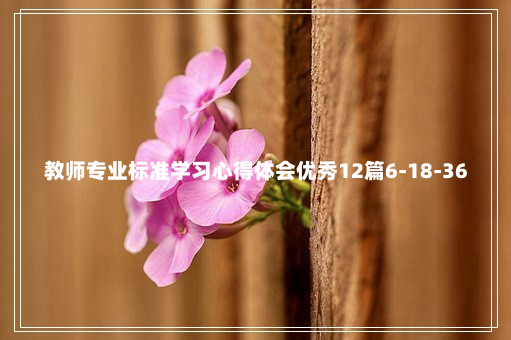 教师专业标准学习心得体会优秀12篇6-18-36