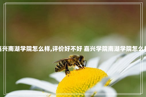 嘉兴南湖学院怎么样,评价好不好 嘉兴学院南湖学院怎么样