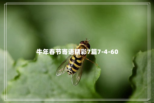 牛年春节寄语精彩7篇7-4-60