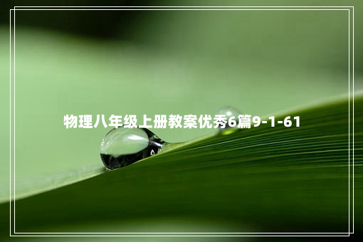 物理八年级上册教案优秀6篇9-1-61