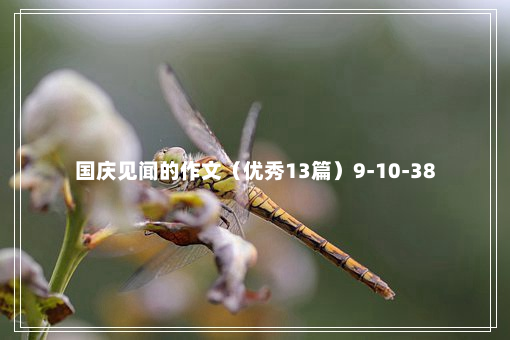 国庆见闻的作文（优秀13篇）9-10-38