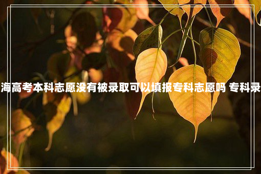 上海高考本科志愿没有被录取可以填报专科志愿吗 专科录取