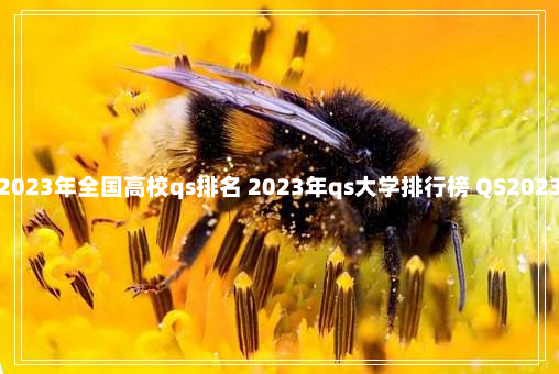 2023年全国高校qs排名 2023年qs大学排行榜 QS2023