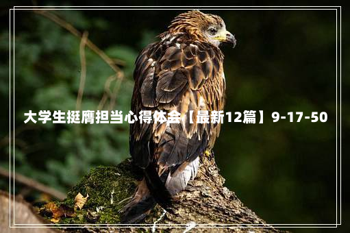 大学生挺膺担当心得体会【最新12篇】9-17-50