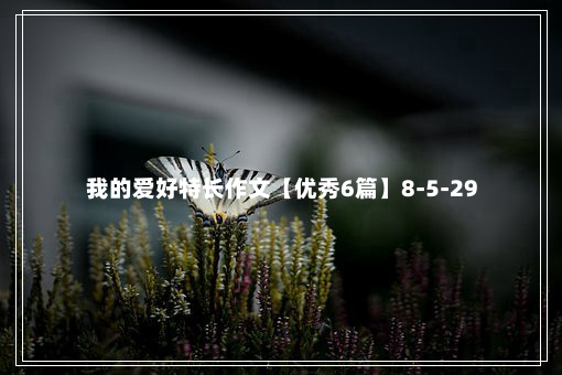 我的爱好特长作文【优秀6篇】8-5-29