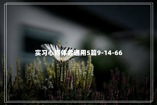 实习心得体会通用5篇9-14-66