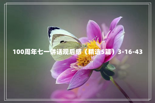 100周年七一讲话观后感（精选5篇）3-16-43