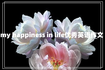 happiness什么意思 my happiness in life优秀英语作文【优秀10篇】2-1-45