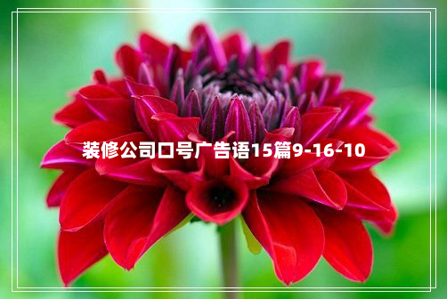 装修公司口号广告语15篇9-16-10