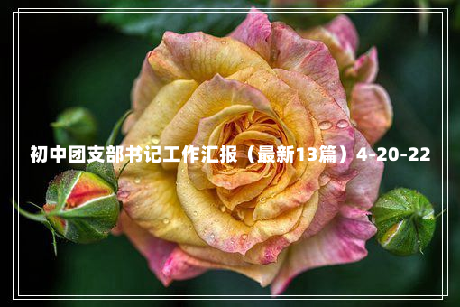 初中团支部书记工作汇报（最新13篇）4-20-22