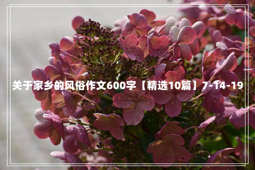 关于家乡的风俗作文600字【精选10篇】7-14-19