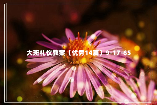 大班礼仪教案（优秀14篇）9-17-65