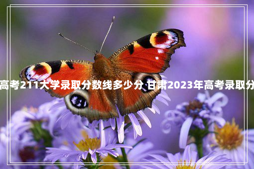 甘肃高考211大学录取分数线多少分 甘肃2023年高考录取分数线