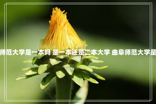 曲阜师范大学是一本吗 是一本还是二本大学 曲阜师范大学是几本