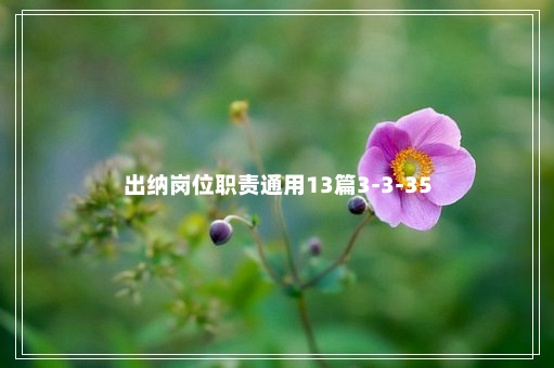 出纳岗位职责通用13篇3-3-35