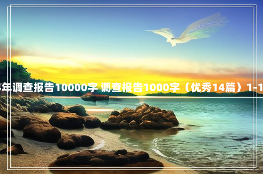 2024年调查报告10000字 调查报告1000字（优秀14篇）1-10-64