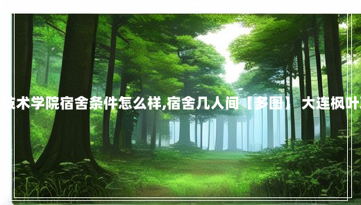 大连枫叶职业技术学院宿舍条件怎么样,宿舍几人间【多图】 大连枫叶职业技术学院