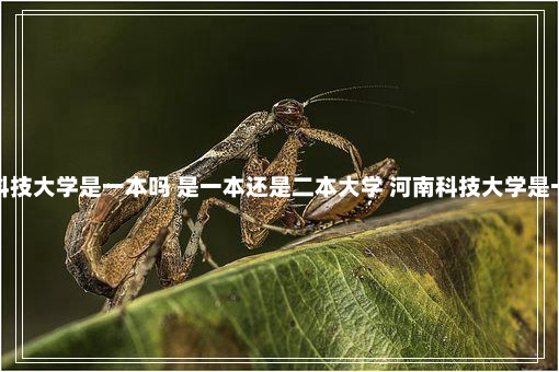 河南科技大学是一本吗 是一本还是二本大学 河南科技大学是一本吗