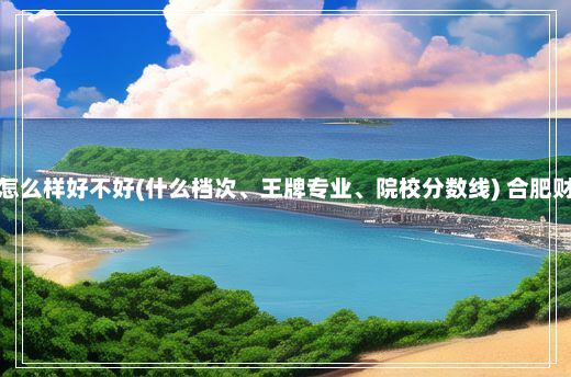 合肥财经职业学院怎么样好不好(什么档次、王牌专业、院校分数线) 合肥财经职业学院怎么样