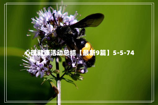 心理健康活动总结【最新9篇】5-5-74