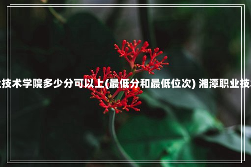 湘潭医卫职业技术学院多少分可以上(最低分和最低位次) 湘潭职业技术学院分数线