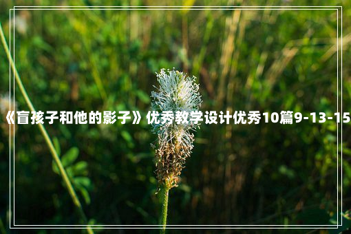 《盲孩子和他的影子》优秀教学设计优秀10篇9-13-15