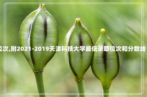 天津科技大学录取位次,附2021-2019天津科技大学最低录取位次和分数线 www.78163.com