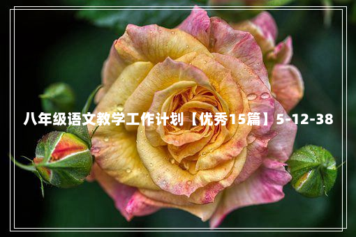 八年级语文教学工作计划【优秀15篇】5-12-38