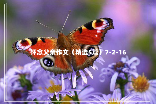 怀念父亲作文（精选5篇）7-2-16