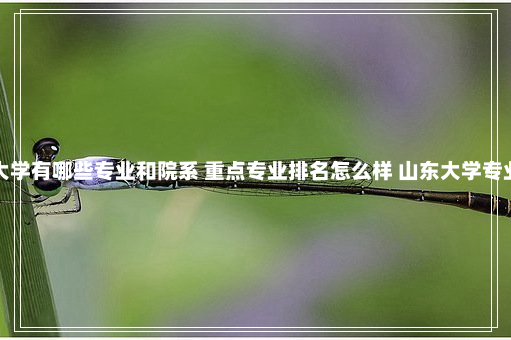 山东大学有哪些专业和院系 重点专业排名怎么样 山东大学专业排名