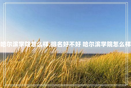 哈尔滨学院怎么样,排名好不好 哈尔滨学院怎么样