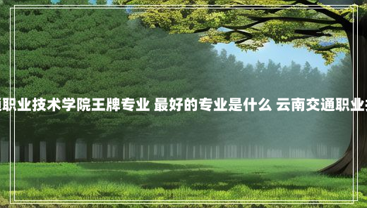 云南交通职业技术学院王牌专业 最好的专业是什么 云南交通职业技术学院