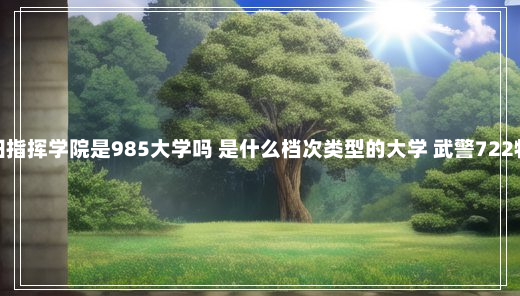 武警沈阳指挥学院是985大学吗 是什么档次类型的大学 武警722特种部队