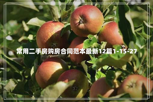 常用二手房购房合同范本最新12篇1-15-27