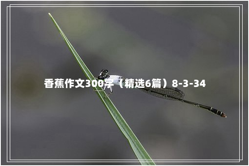 香蕉作文300字（精选6篇）8-3-34