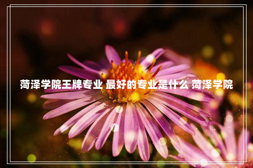 菏泽学院王牌专业 最好的专业是什么 菏泽学院