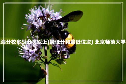 北京师范大学珠海分校多少分可以上(最低分和最低位次) 北京师范大学珠海分校分数线