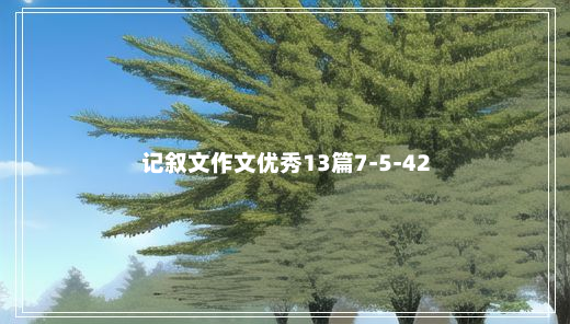 记叙文作文优秀13篇7-5-42