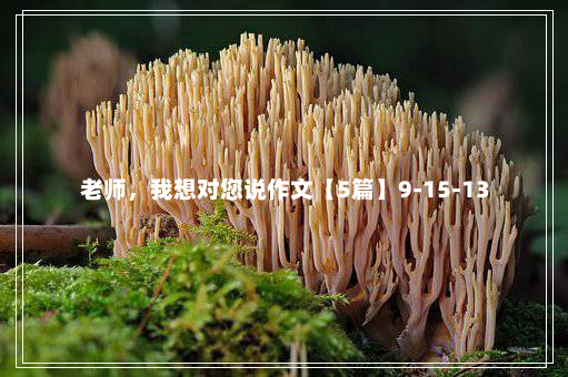 老师，我想对您说作文【5篇】9-15-13