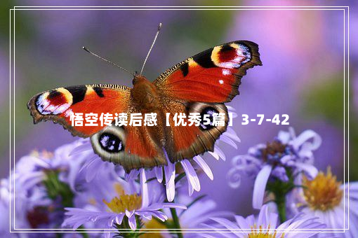 悟空传读后感【优秀5篇】3-7-42